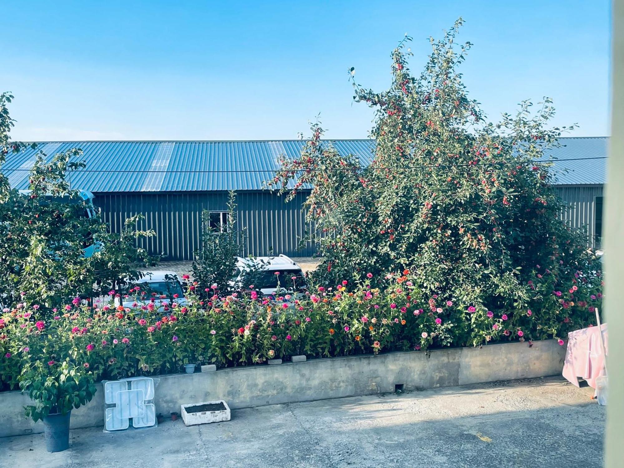 哈尔滨机场东方红运宾馆 Hotel Exterior foto